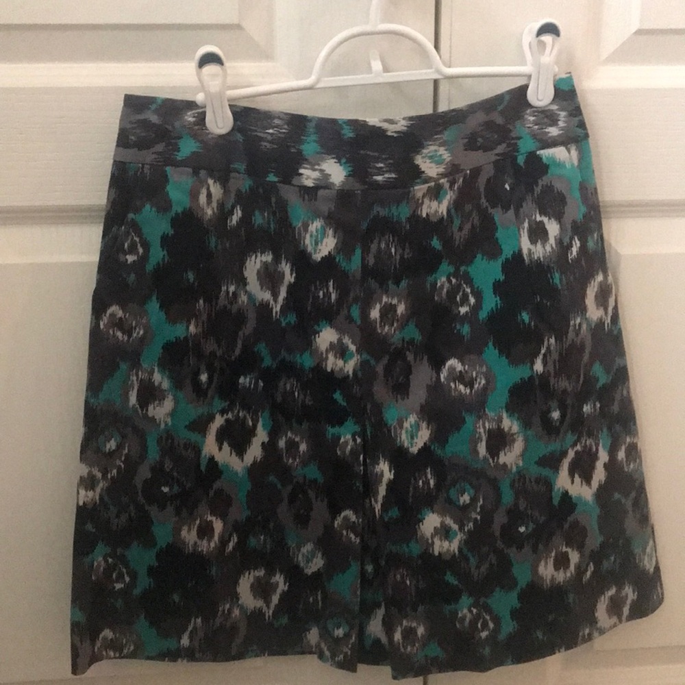 Express skirt